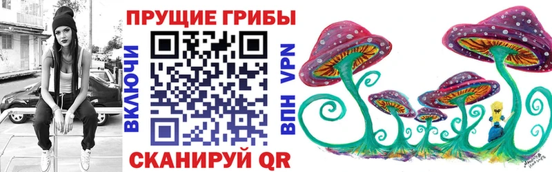 где купить наркоту  Муром  Псилоцибиновые грибы Cubensis 