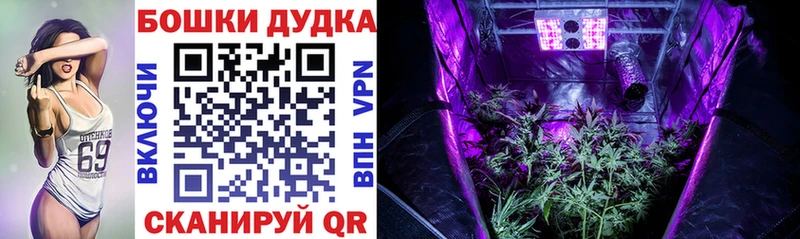 Канабис THC 21%  сколько стоит  Муром 